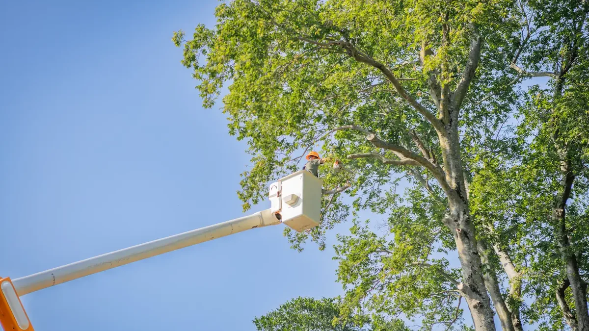 Ironwood Tree Service bucket truck trimming an oak tree in Tulsa, OK