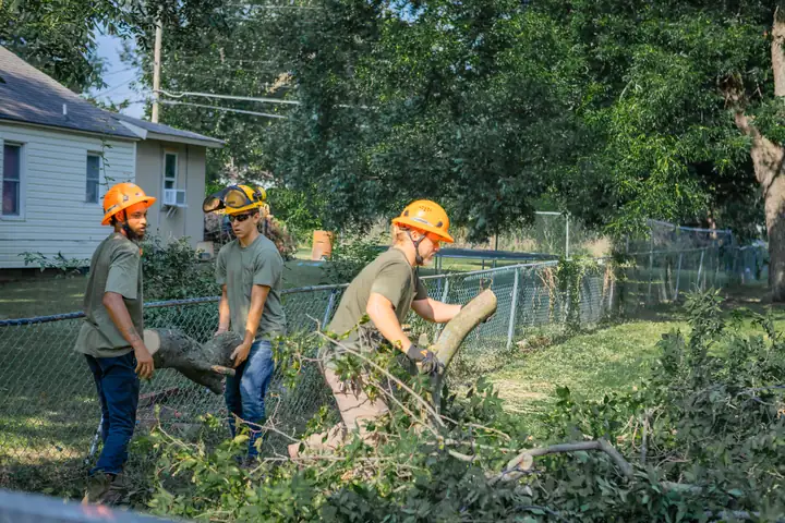 Ironwood Tree Service crew — job 4