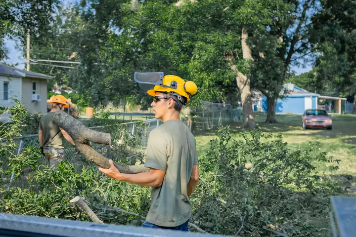 Ironwood Tree Service crew — job 5