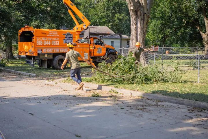 Ironwood Tree Service crew — job 6
