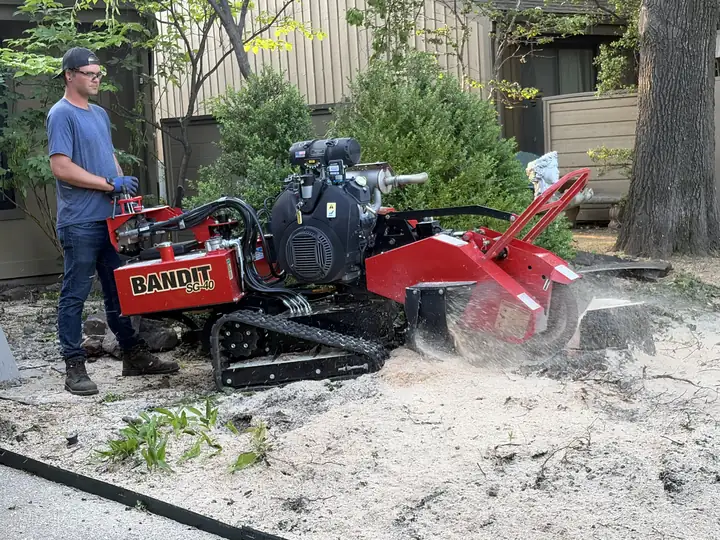 Ironwood Tree Service crew — job 10