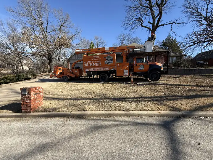 Ironwood Tree Service crew — job 12