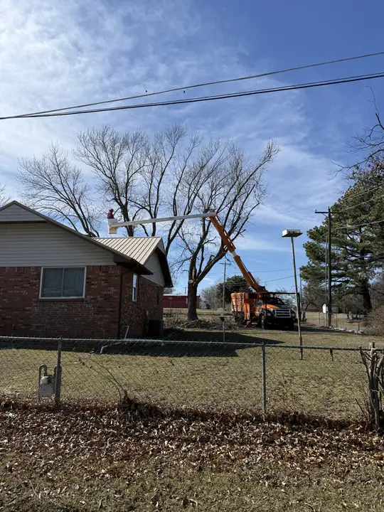 Ironwood Tree Service crew — job 13