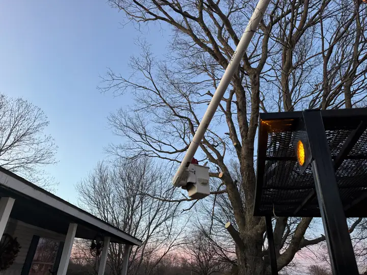Ironwood Tree Service crew — job 14