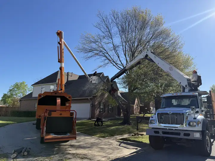 Ironwood Tree Service crew — job 17