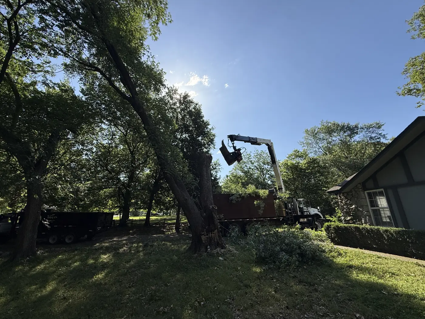 Ironwood Tree Service crew on a tree removal job in Tulsa, OK