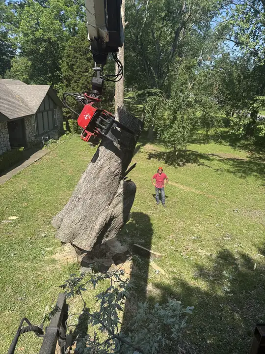 Ironwood Tree Service crew — job 20