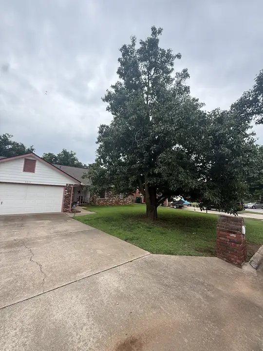 Ironwood Tree Service crew — job 21