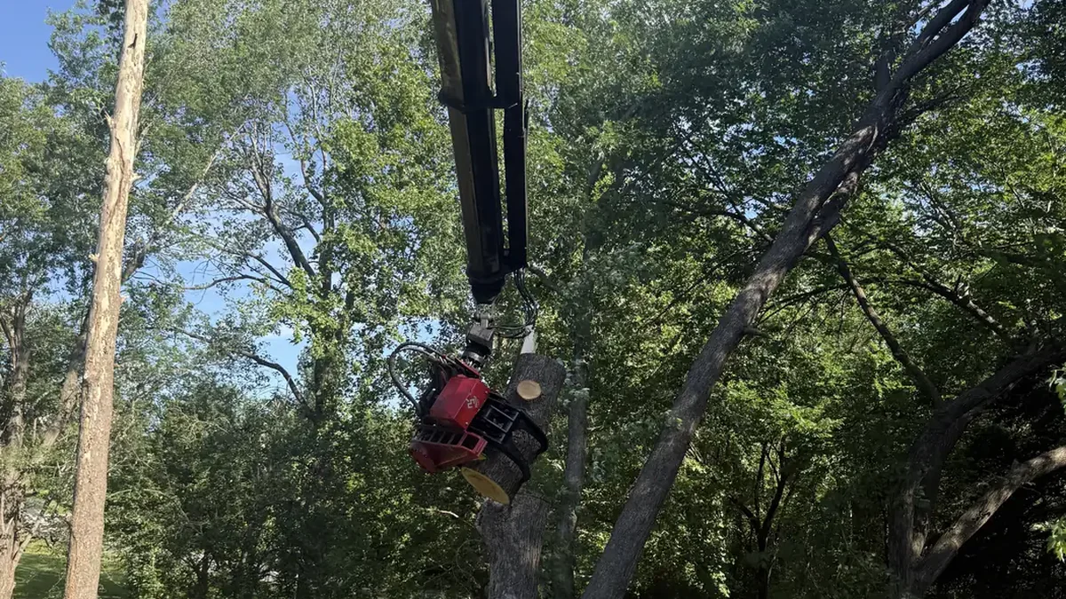 Ironwood Tree Service grapple crane clearing overgrown wooded lot in Oklahoma