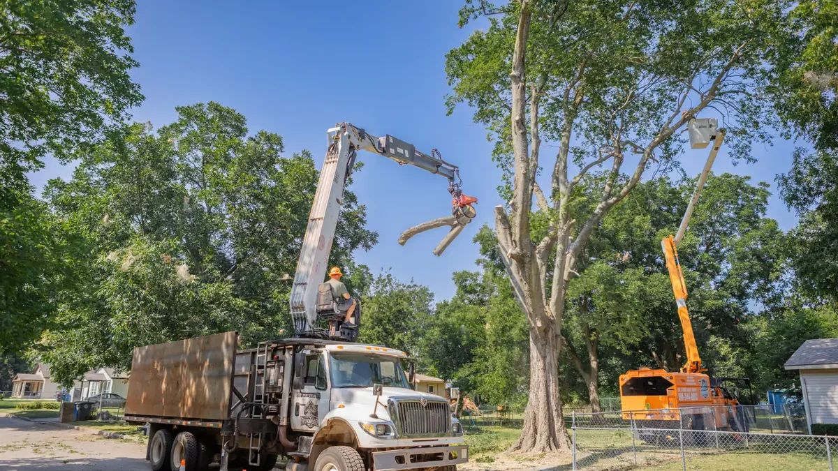 Ironwood Tree Service crew removing a large tree with crane in Tulsa, OK