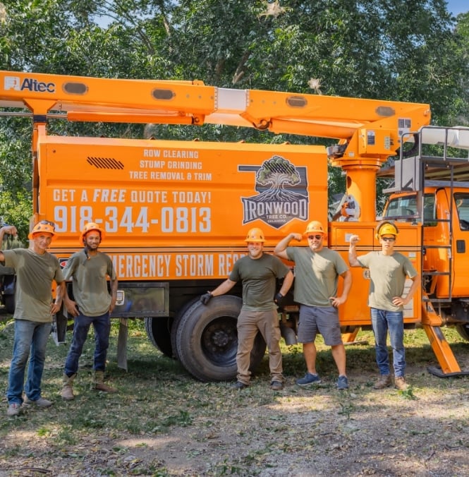 Ironwood Tree Service crew